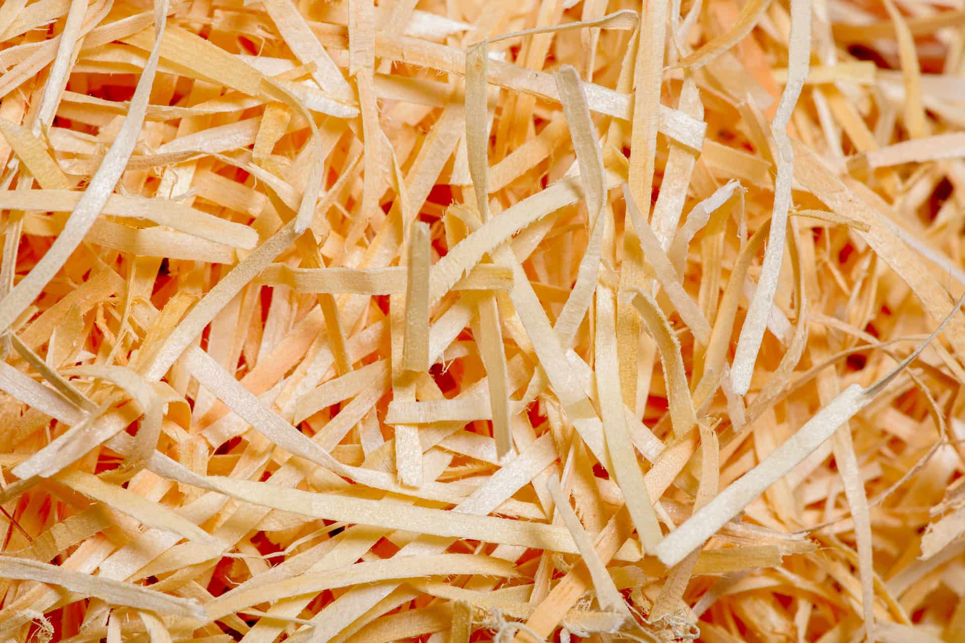 Close-up of loose shredded paper bedding