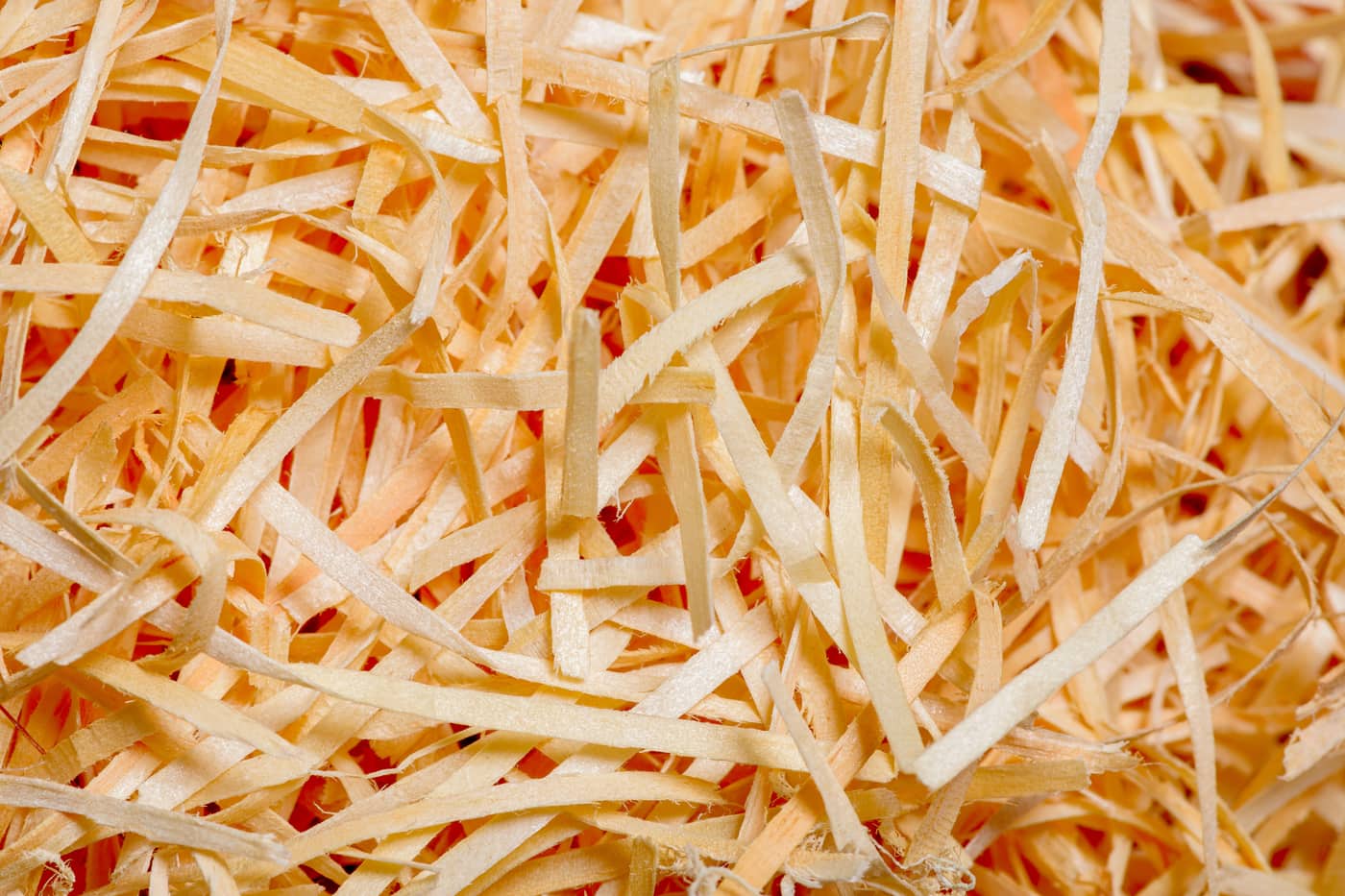 Close-up of loose shredded paper strands of the kind a hamster shreds further and packs into a nest