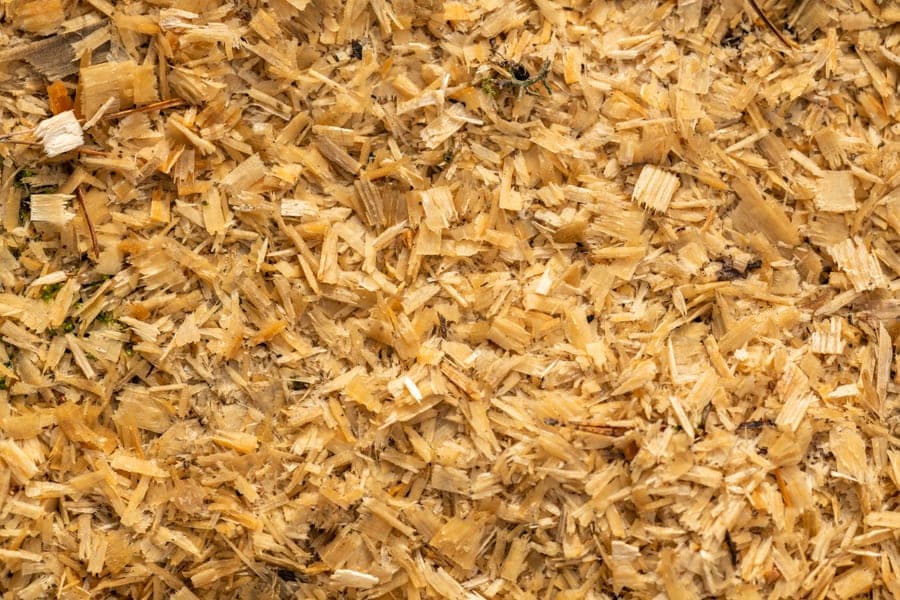 Pale wood shavings in a small-animal enclosure base