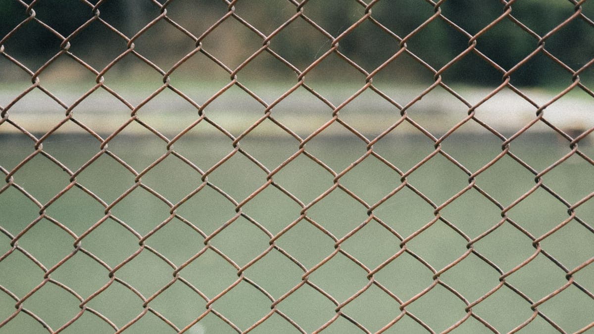 Close-up of welded steel mesh on a rabbit run, with a ground-level skirt