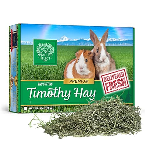 Small Pet Select 2nd Cutting Timothy Hay