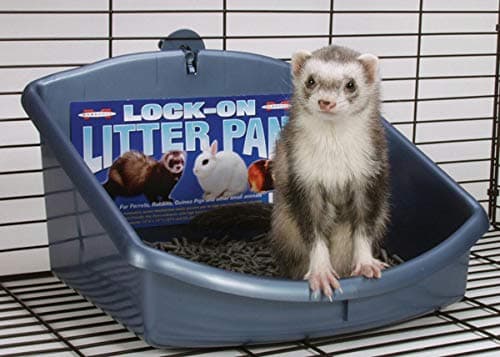 Marshall Lock-On Litter Pan